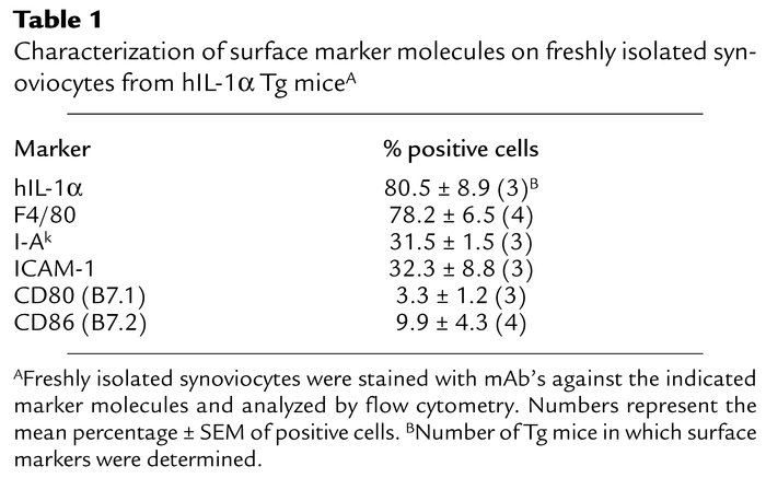 Characterization of surface marker molecules on freshly isolated synovio...