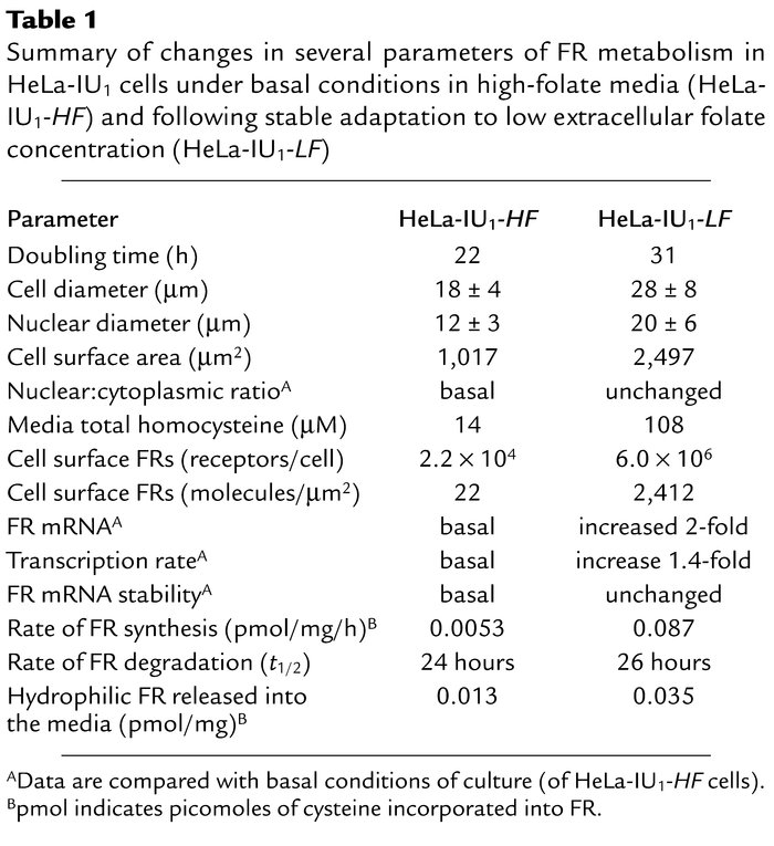 Summary of changes in several parameters of FR metabolism in HeLa-IU1 ce...