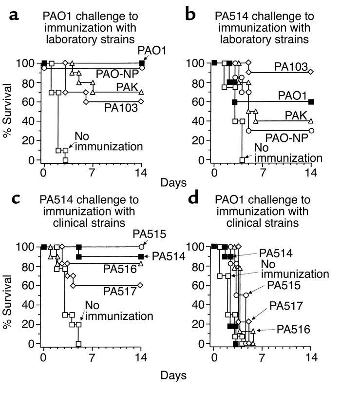 Cross-protective immunity of AdMDC-modified DCs against laboratory or cl...