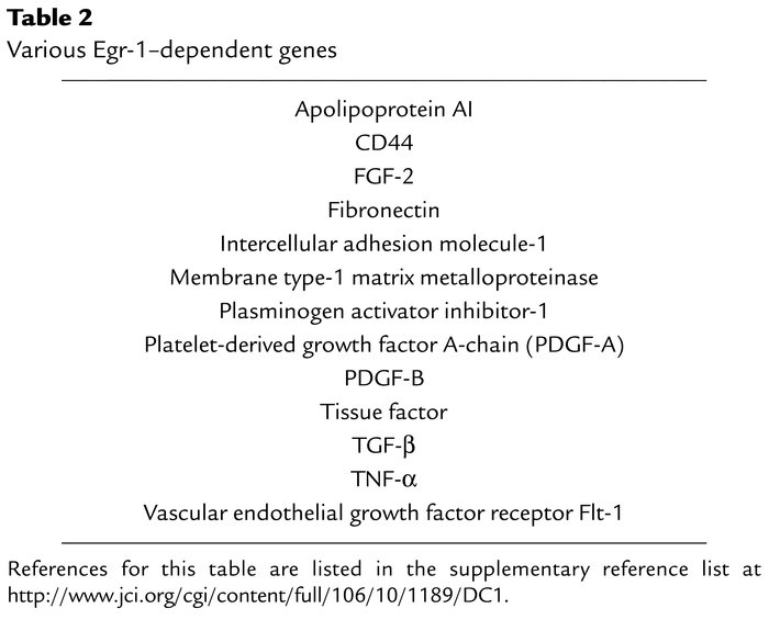 Various Egr-1–dependent genes