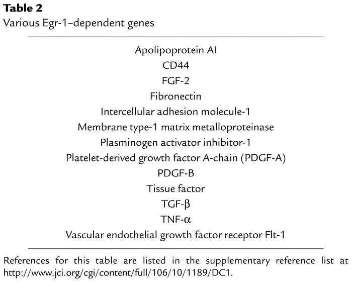 Various Egr-1–dependent genes