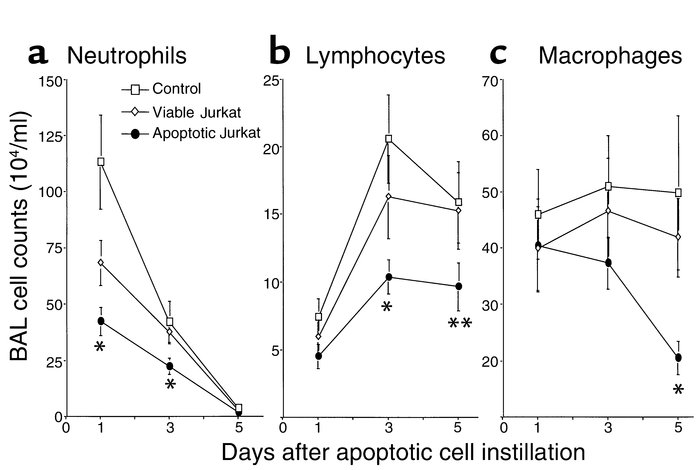 Reduction in BALF inflammatory cells. Cell differential in BALF from LPS...