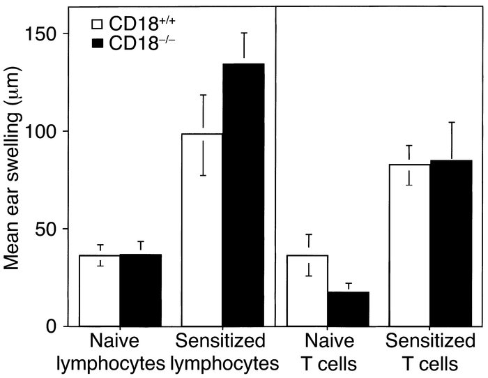 ACD in CD18–/– mice after subcutaneous injection of syngeneic LN cells. ...