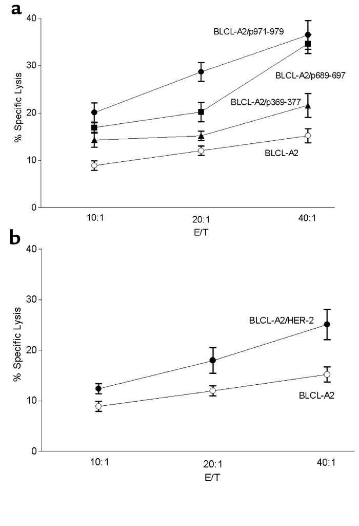 Peptide-specific T cells isolated from a breast cancer patient after imm...