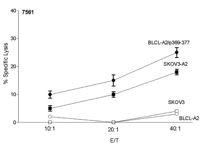 Peptide-specific T-cell clones isolated from an ovarian cancer patient a...