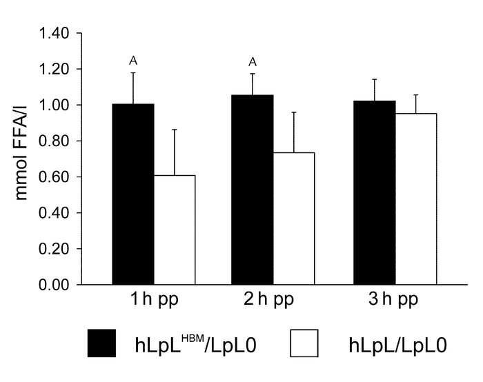 Postprandial FFAs. After 8 hours of daytime fasting, a gavage with 100 μ...