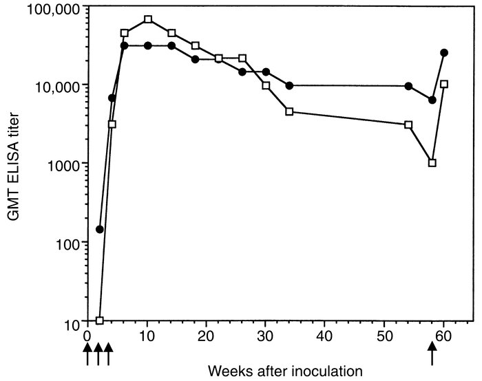 Serum IgG Ab titers in immunized C57Bl/6 mice. Anti–TNF-α (open squares)...