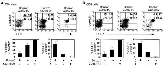 Homing receptor expression by Bonzo+ and Bonzo– CD4 or CD8 T-cell subset...