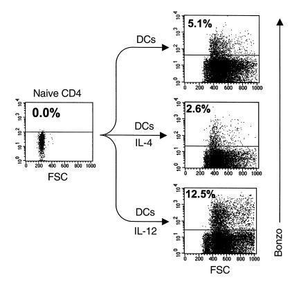 DCs induce naive T cells to express Bonzo. Naive (CD45RO–) CD4 T cells w...