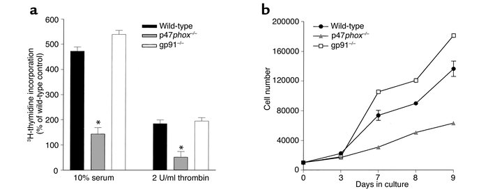 Proliferative capacity is decreased in p47phox–/– SMCs compared with wil...