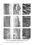 icon of scanned page 738