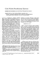 icon of scanned page 899