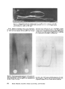 icon of scanned page 272