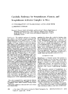 icon of scanned page 412