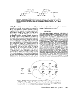 icon of scanned page 1931