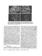 icon of scanned page 1952