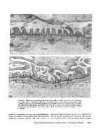 icon of scanned page 1953