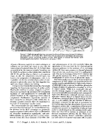 icon of scanned page 1954