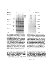 icon of scanned page 1055