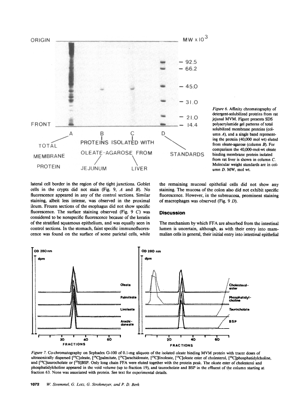 JCI - Identification, isolation, and partial characterization of a ...