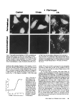 icon of scanned page 119