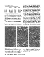 icon of scanned page 784