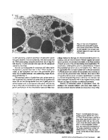 icon of scanned page 493