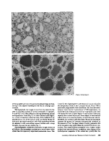 icon of scanned page 495