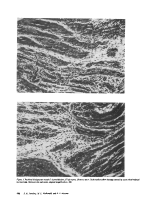icon of scanned page 502