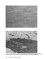icon of scanned page 504