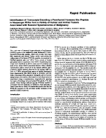 icon of scanned page 2010