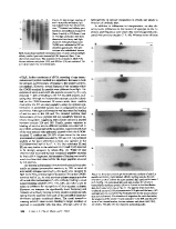 icon of scanned page 330