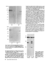 icon of scanned page 98