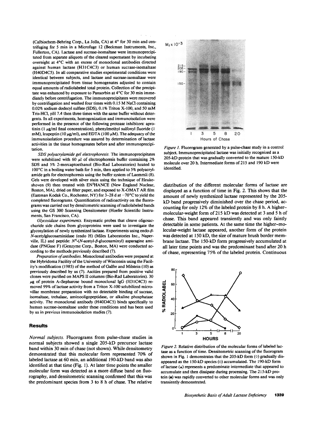 JCI The biosynthetic basis of adult lactase deficiency.