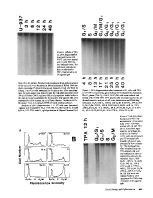 icon of scanned page 955