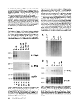 icon of scanned page 956