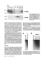 icon of scanned page 958