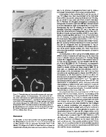 icon of scanned page 977