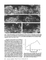 icon of scanned page 978