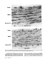 icon of scanned page 470