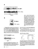 icon of scanned page 2890