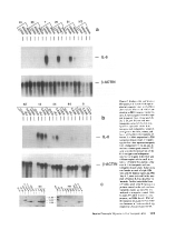 icon of scanned page 1313