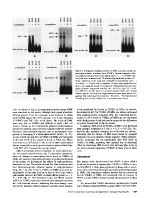 icon of scanned page 1147