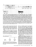 icon of scanned page 1275