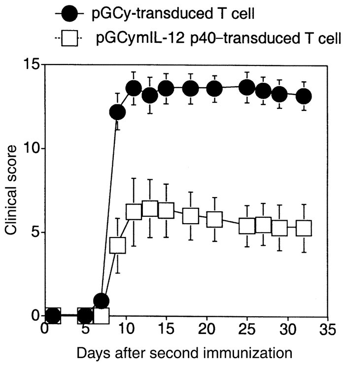 The development of CIA is inhibited by the transfer of CII-specific IL-1...
