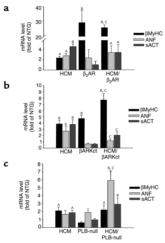 Gene expression in cross-bred mouse hearts as assessed by slot blot of R...