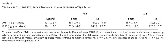 Ventricular ANP and BNP concentrations in mice after ischemia/reperfusion