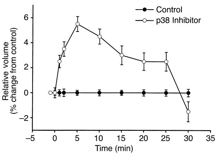 Inhibition of p38 increases cell volume. Cell volume was measured in the...