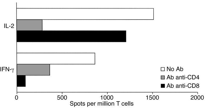 Effects of anti-CD4 and anti-CD8 Ab treatments on alloimmune responses i...