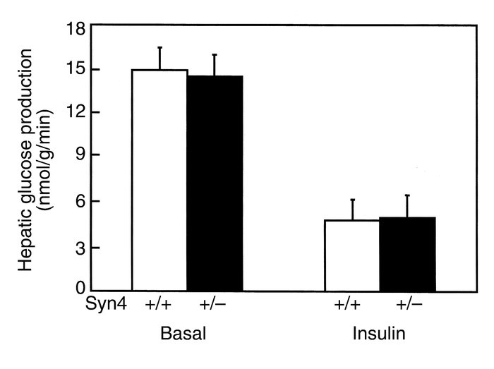 HGP during hyperinsulinemic-euglycemic clamp procedure in awake mice. Ba...